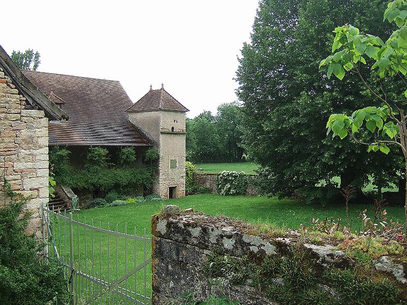 2010-05- (3).JPG